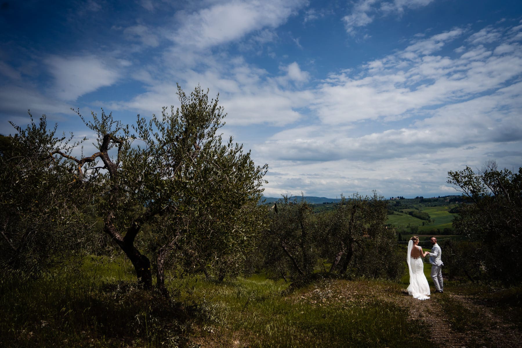 bruidsfotograaf tussen de olijfbomen in Italië